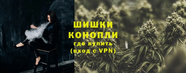 гидра Абаза